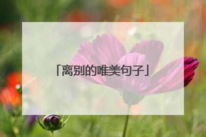 离别的唯美句子