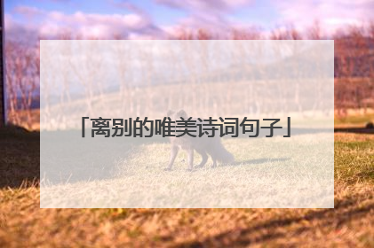 离别的唯美诗词句子