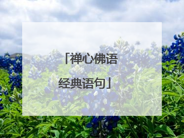 禅心佛语经典语句