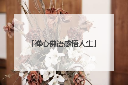 禅心佛语感悟人生