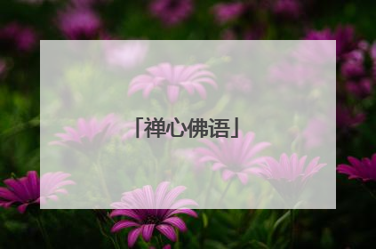 禅心佛语