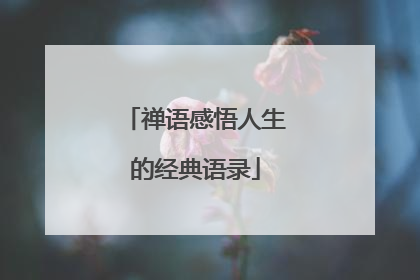 禅语感悟人生的经典语录