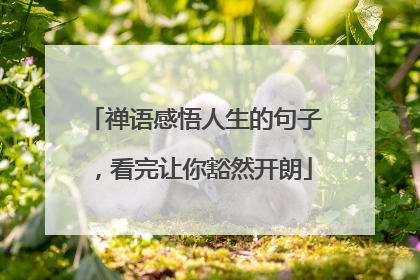 禅语感悟人生的句子，看完让你豁然开朗