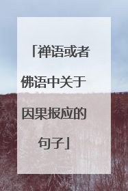 禅语或者佛语中关于因果报应的句子