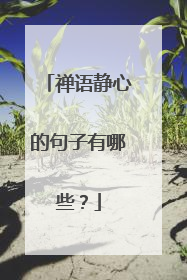 禅语静心的句子有哪些?