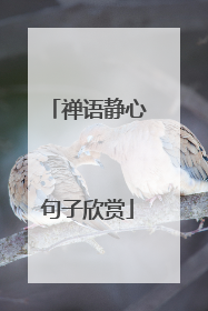 禅语静心句子欣赏
