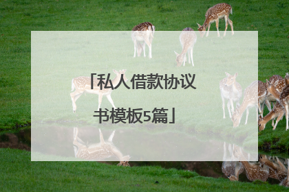 私人借款协议书模板5篇
