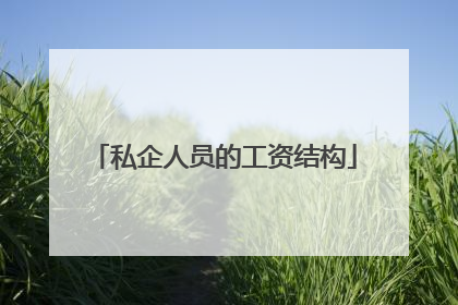 私企人员的工资结构