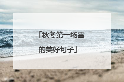 秋冬第一场雪的美好句子