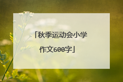 秋季运动会小学作文600字