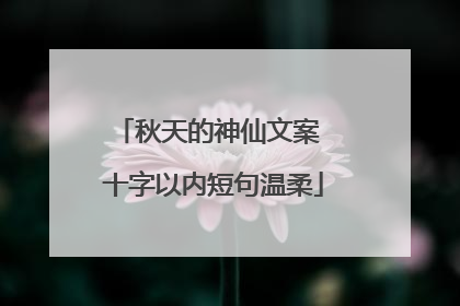 秋天的神仙文案 十字以内短句温柔