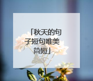 秋天的句子短句唯美简短