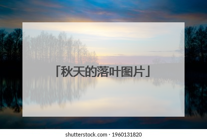 秋天的落叶图片