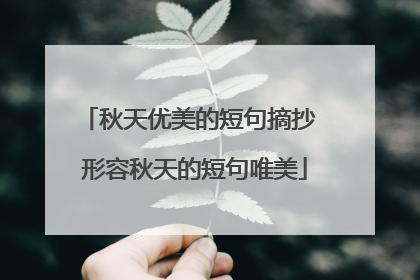 秋天优美的短句摘抄 形容秋天的短句唯美