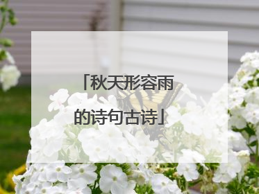 秋天形容雨的诗句古诗