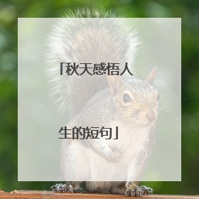 秋天感悟人生的短句