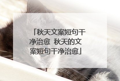 秋天文案短句干净治愈 秋天的文案短句干净治愈