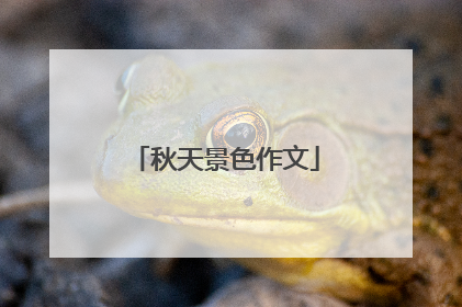 秋天景色作文