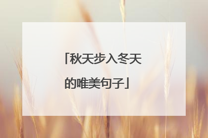 秋天步入冬天的唯美句子