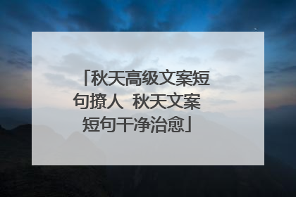 秋天高级文案短句撩人 秋天文案短句干净治愈