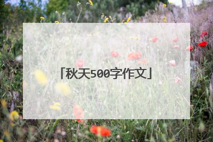 秋天500字作文