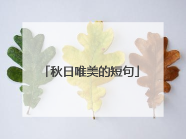 秋日唯美的短句