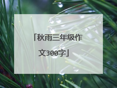 秋雨三年级作文300字