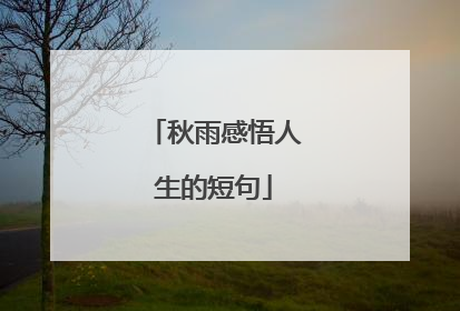 秋雨感悟人生的短句