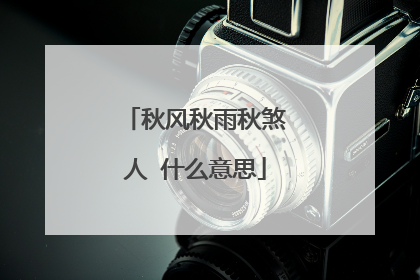 秋风秋雨秋煞人 什么意思