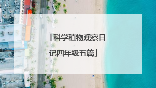 科学稙物观察日记四年级五篇