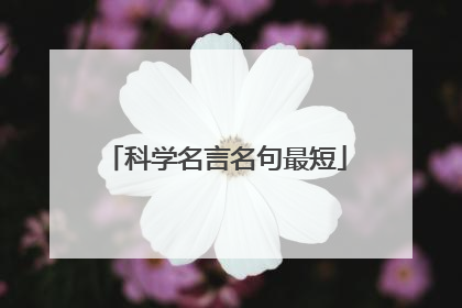 科学名言名句最短