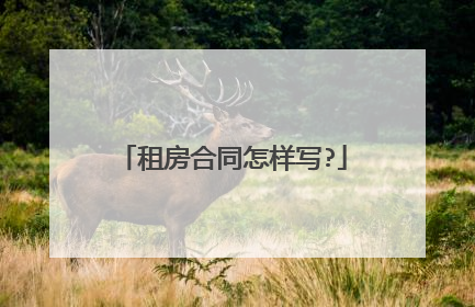 租房合同怎样写?