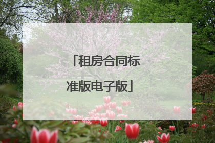 租房合同标准版电子版