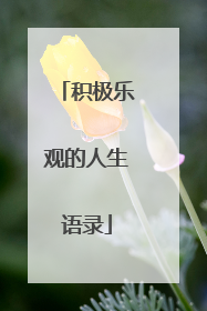 积极乐观的人生语录