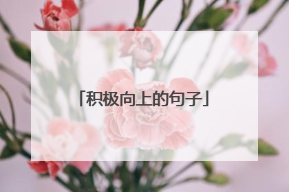 积极向上的句子
