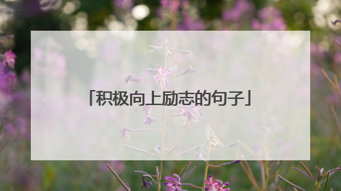 积极向上励志的句子