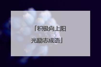 积极向上阳光励志成语