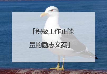 积极工作正能量的励志文案