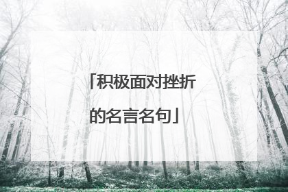 积极面对挫折的名言名句