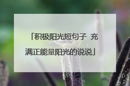 积极阳光短句子 充满正能量阳光的说说