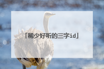 稀少好听的三字id
