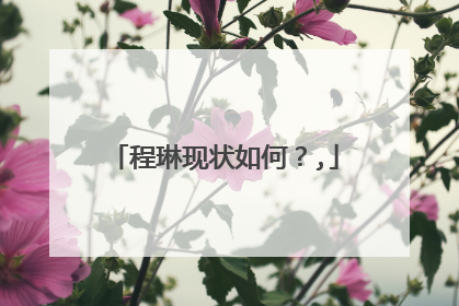 程琳现状如何?,