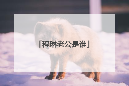 程琳老公是谁