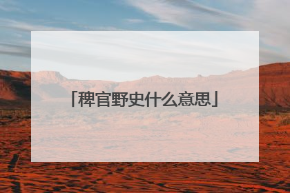 稗官野史什么意思