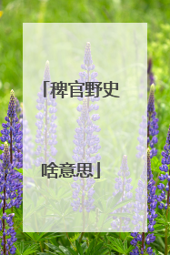 稗官野史啥意思