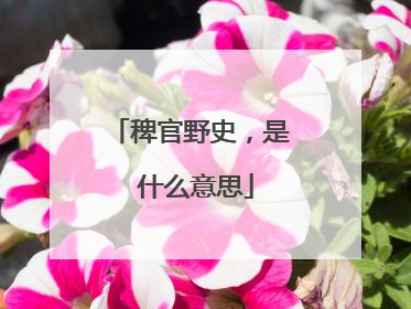 稗官野史,是 什么意思