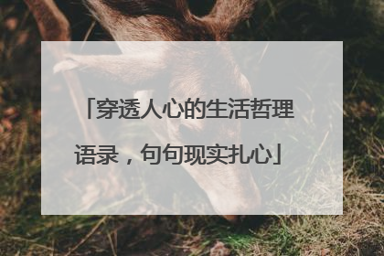穿透人心的生活哲理语录，句句现实扎心