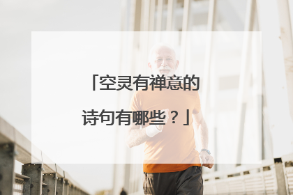 空灵有禅意的诗句有哪些?