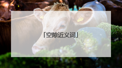 空隙近义词