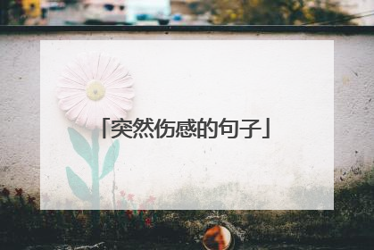 突然伤感的句子